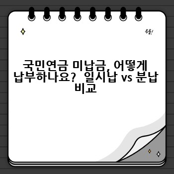 국민연금 미납금, 어떻게 납부하나요?  일시납 vs 분납 비교