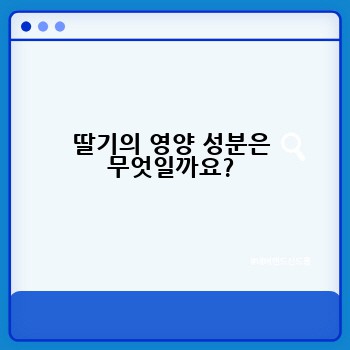 딸기의 영양 성분은 무엇일까요?