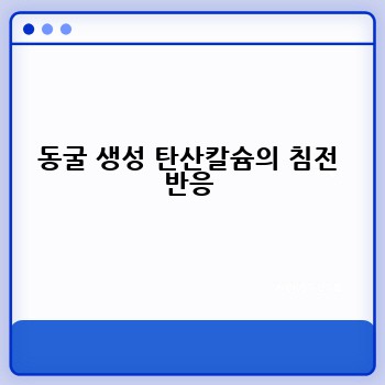 동굴 생성 탄산칼슘의 침전 반응
