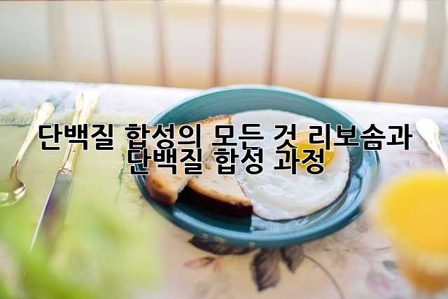 단백질 합성의 모든 것: 리보솜과 단백질 합성 과정