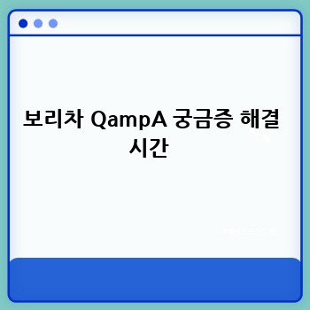 보리차 QampA 궁금증 해결 시간 