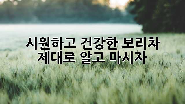 시원하고 건강한 보리차, 제대로 알고 마시자!