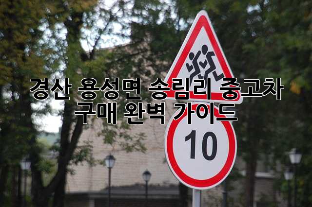 경산 용성면 송림리 중고차 구매 완벽 가이드