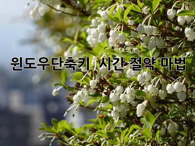 윈도우단축키 🚀 시간 절약 마법 🧙‍♀️