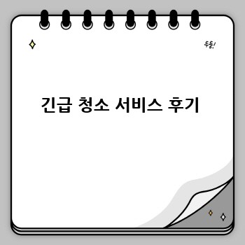긴급 청소 서비스 후기