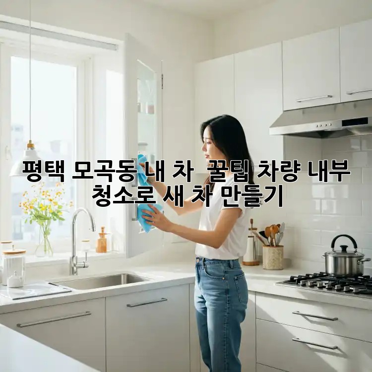 평택 모곡동 내 차 🚗✨ 꿀팁! 차량 내부 청소로 새 차 만들기