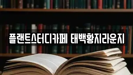 플랜트스터디카페 태백황지라운지