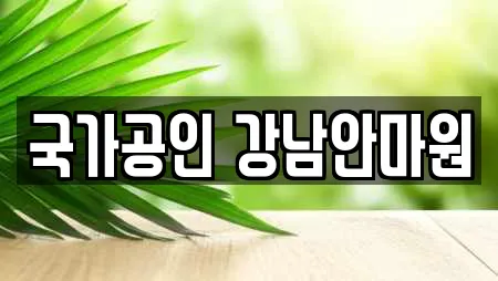 국가공인 강남안마원