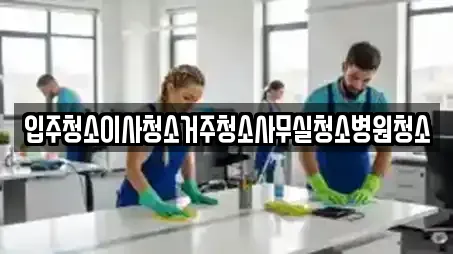 입주청소이사청소거주청소사무실청소병원청소