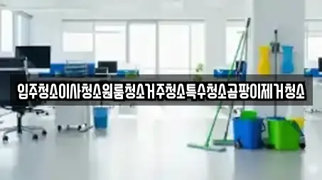 입주청소이사청소원룸청소거주청소특수청소곰팡이제거청소