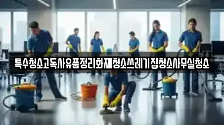 특수청소고독사유품정리화재청소쓰레기집청소사무실청소