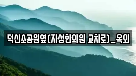 덕신소공원옆(자성한의원 교차로)_옥외