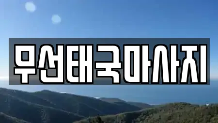 무선태국마사지