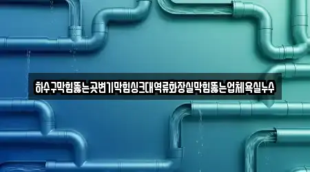 하수구막힘뚫는곳변기막힘싱크대역류화장실막힘뚫는업체욕실누수