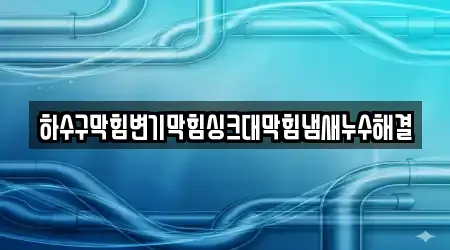 하수구막힘변기막힘싱크대막힘냄새누수해결