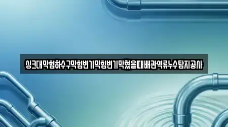 싱크대막힘하수구막힘변기막힘변기막혔을때배관역류누수탐지공사