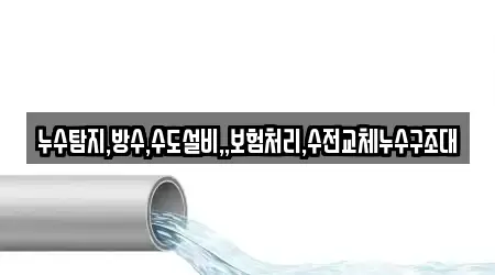 누수탐지,방수,수도설비,,보험처리,수전교체누수구조대