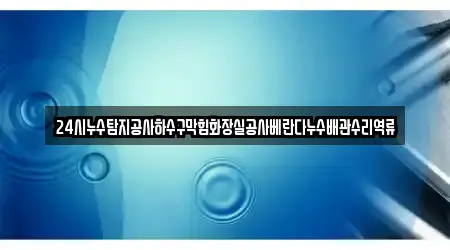 24시누수탐지공사하수구막힘화장실공사베란다누수배관수리역류