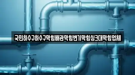 국민하수구하수구막힘배관막힘변기막힘싱크대막힘업체