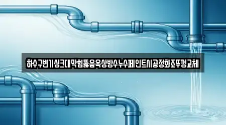 하수구변기싱크대막힘뚫음옥상방수누수페인트시공정화조뚜껑교체