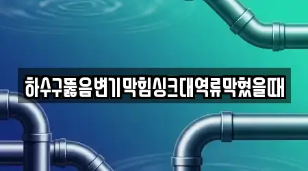 하수구뚫음변기막힘싱크대역류막혔을때