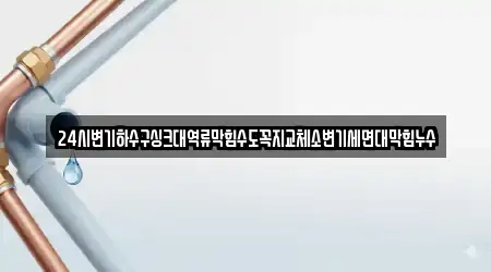 24시변기하수구싱크대역류막힘수도꼭지교체소변기세면대막힘누수