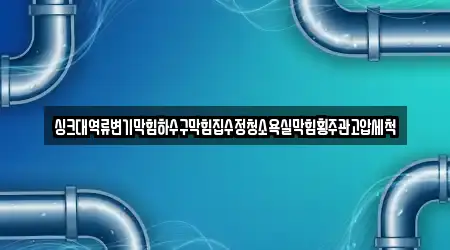 싱크대역류변기막힘하수구막힘집수정청소욕실막힘횡주관고압세척