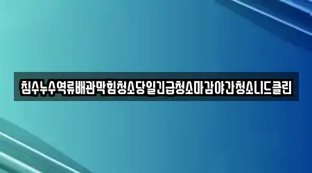 침수누수역류배관막힘청소당일긴급청소마감야간청소니드클린
