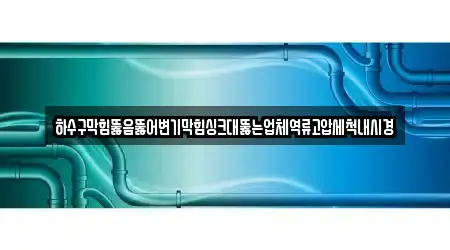 하수구막힘뚫음뚫어변기막힘싱크대뚫는업체역류고압세척내시경