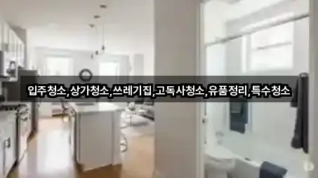 전라남도 고흥군 봉래면상가청소 1곳 한눈에 보기