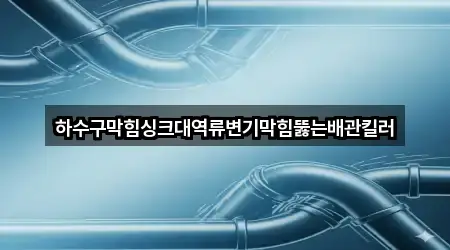 하수구막힘싱크대역류변기막힘뚫는배관킬러