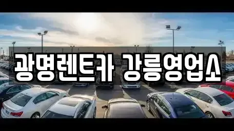 강원 강릉시 견소동 렌트카 전문 광명렌트카 강릉영업소