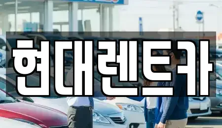 강원 강릉시 견소동 렌트카 전문 현대렌트카