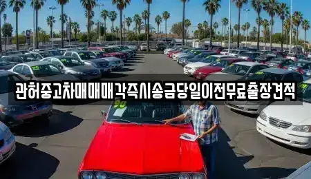 강원 강릉시 견소동 중고차매매 전문 관허중고차매매매각즉시송금당일이전무료출장견적
