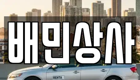 강원 강릉시 견소동 중고차매매 전문 배민상사