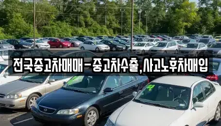 강원 강릉시 견소동 단기렌트카,중고차매입,중고차매매,중고차,렌트카,장기렌트카
