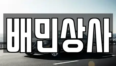 강원 강릉시 남항진동 중고차매매 전문 배민상사