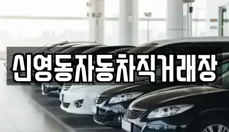 강원 강릉시 성내동 중고차 전문 신영동자동차직거래장