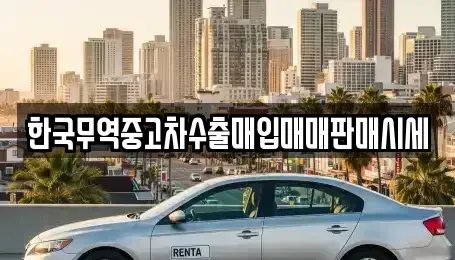 강원 강릉시 성내동 중고차매입 전문 한국무역중고차수출매입매매판매시세