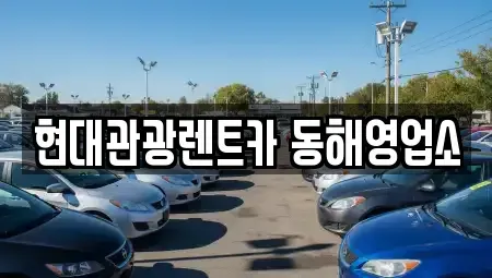 강원 동해시 단봉동 렌트카 전문 현대관광렌트카 동해영업소