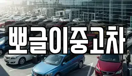 강원 동해시 단봉동 중고차 전문 뽀글이중고차
