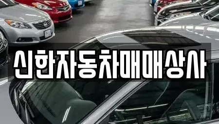 강원 동해시 대구동 중고차매매 전문 신한자동차매매상사