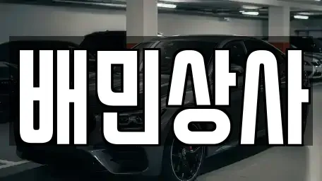 강원 동해시 동회동 중고차 전문 배민상사