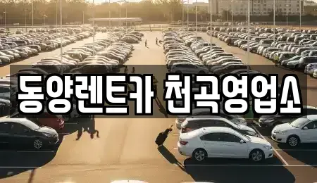 강원 동해시 용정동 렌트카 전문 동양렌트카 천곡영업소