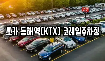 강원 동해시 용정동 렌트카 전문 쏘카 동해역(KTX) 코레일주차장