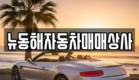강원 동해시 용정동 중고차 전문 뉴동해자동차매매상사