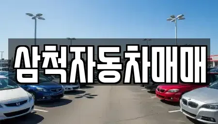 강원 삼척시 성내동 중고차매매,단기렌트카,중고차매입,장기렌트카,중고차,렌트카