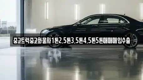 강원 삼척시 성내동 중고차매매 전문 중고트럭중고화물차1톤2.5톤3.5톤4.5톤5톤매매매입수출