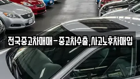 강원 속초시 중앙동 중고차 전문 전국중고차매매-중고차수출,사고노후차매입