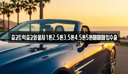 강원 속초시 중앙동 중고차 전문 중고트럭중고화물차1톤2.5톤3.5톤4.5톤5톤매매매입수출